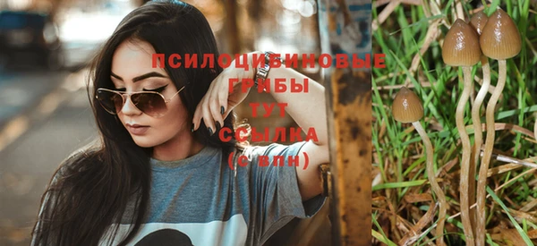 apvp Коряжма