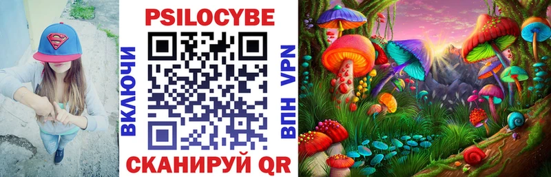 Галлюциногенные грибы Magic Shrooms  купить   Томмот 