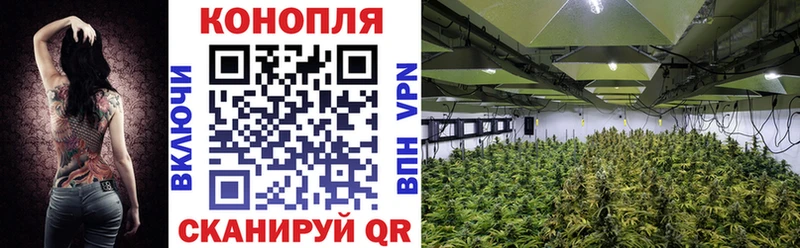 МАРИХУАНА SATIVA & INDICA Томмот
